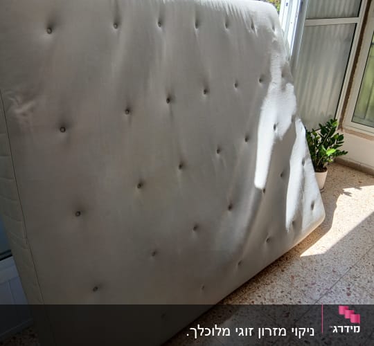מזרן עומד ליד חלון עם צמח ירוק